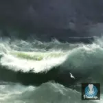 Картина Буря на Азовском море - Иван К. Айвазовский