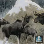 Картина Лоси - Степанов А.С.
