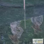 Картина В норвежской лодке - Клод Моне