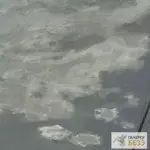 Картина Морской пейзаж, буря - Клод Моне